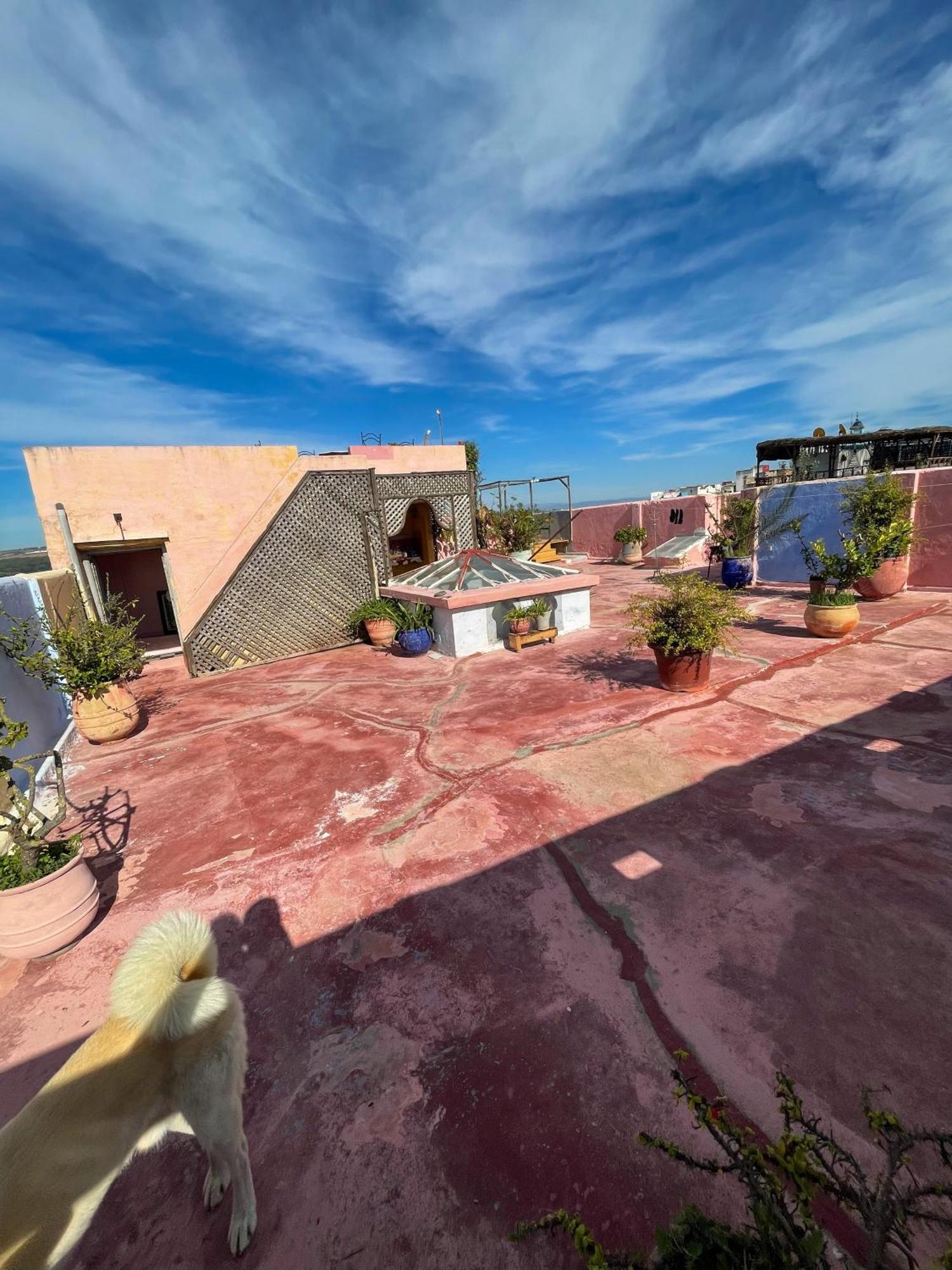 La Maison Haute Larache Morocco Eksteriør bilde